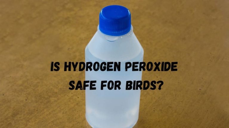 is hydrogen peroxide safe for birds