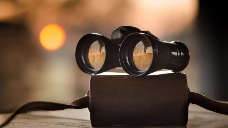 What Does 10×25 Mean On Binoculars? A Helpful Guide
