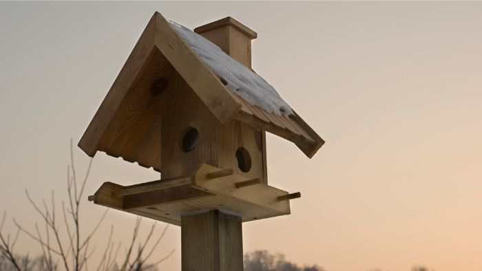  How do I stop messing under my bird feeder?