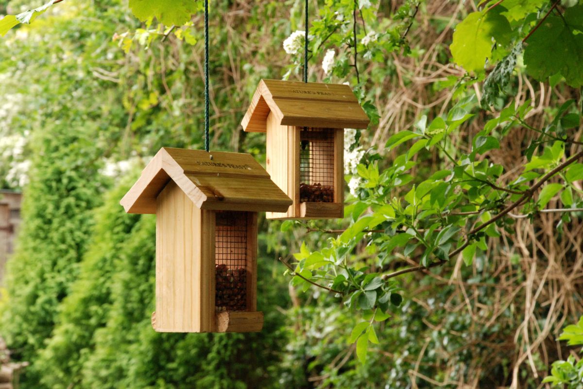4 Beneficial Tips On The Best Place To Put A Bird Feeder